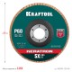 Круг лепестковый керамический торцевой по нержавеющей стали, 125 х 22.2 мм, P60 KRAFTOOL 36598-125-60