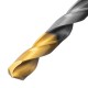 Набор сверл по металлу, 1-10 мм, Р6М5-TiN, Golden Tip, 10 шт Denzel (723001)
