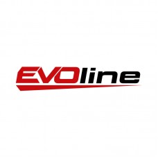 Двигатель бензиновый EVOline GB 620 E-2 (конус) (произведено Zongshen)