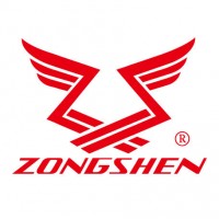 Двигатель бензиновый Zongshen GB 460 E 18А