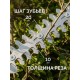 ЗУБР 20 В, 200 мм, без АКБ (LMS), ножницы-кусторез аккумуляторные (НКА-2020)