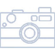 Электропривод глубинного вибратора для бетона TOR ZN70-C (1024064)