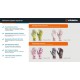 GRINDA COMFORT, S (7), садовые перчатки с прозрачным полиуретановым покрытием, розовые, 13 класс (11291-S_z01)