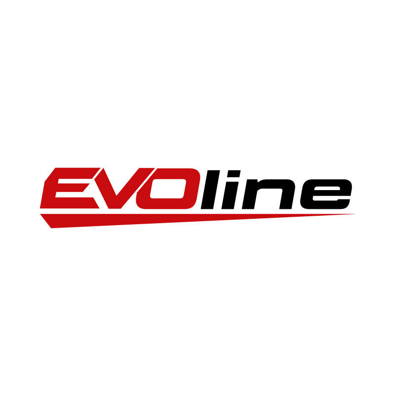 Двигатель бензиновый EVOline GB 270 ВE 230V SNOW Line (произведено Zongshen)