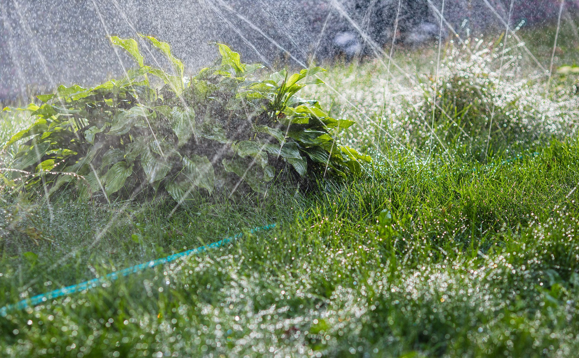 GRINDA S-15, 15 м, микроперфорация, шланг-дождеватель, PROLine (8-429015-15)