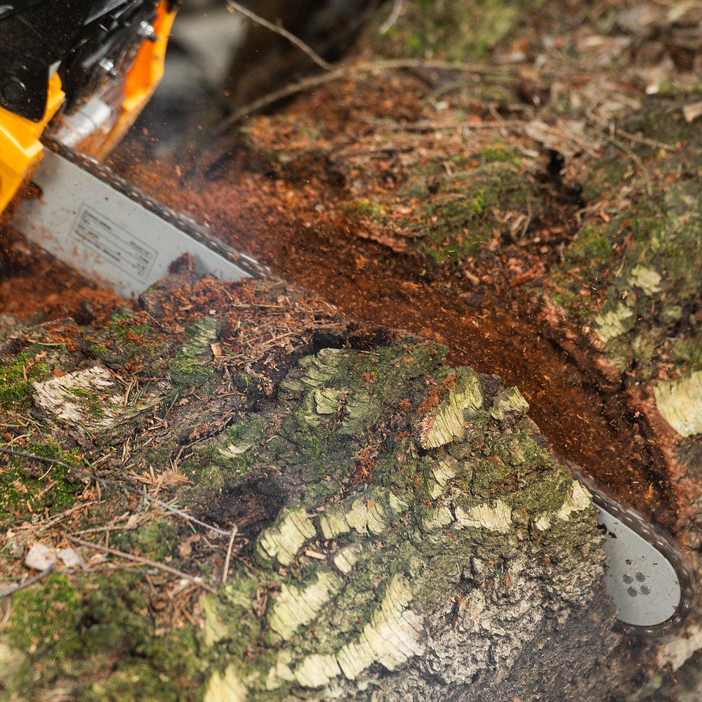 Пила цепная бензиновая DGS-4516, шина 40 см, 45 см3, 3 л.с, шаг 3/8, паз 1.3 мм, 57 звеньев Denzel (95230)