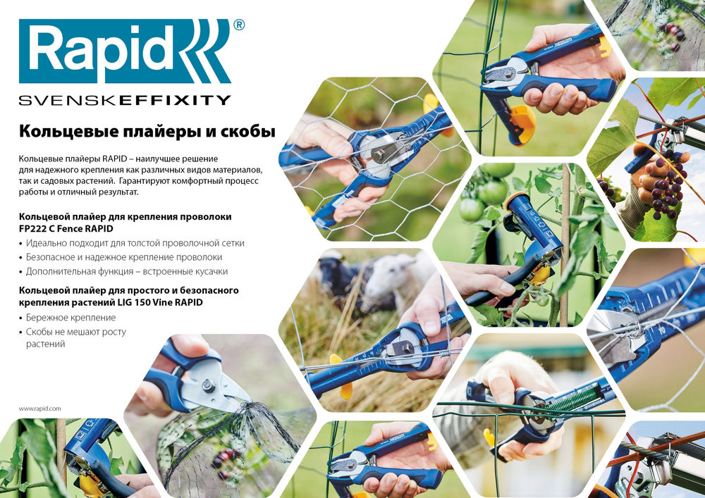 Скобы кольцевые профессиональные для LIG150 С50, 4 - 14 мм, 4200 шт RAPID 40107757