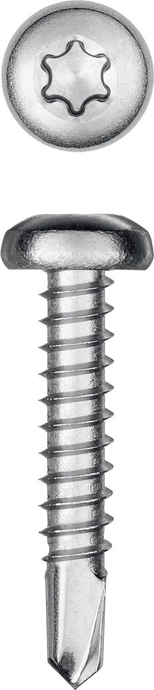 Саморез нержавеющий 25?4.8 мм DS-P А2 сверло полукруглая головка ТХ25 300 шт KRAFTOOL 300931-48-025