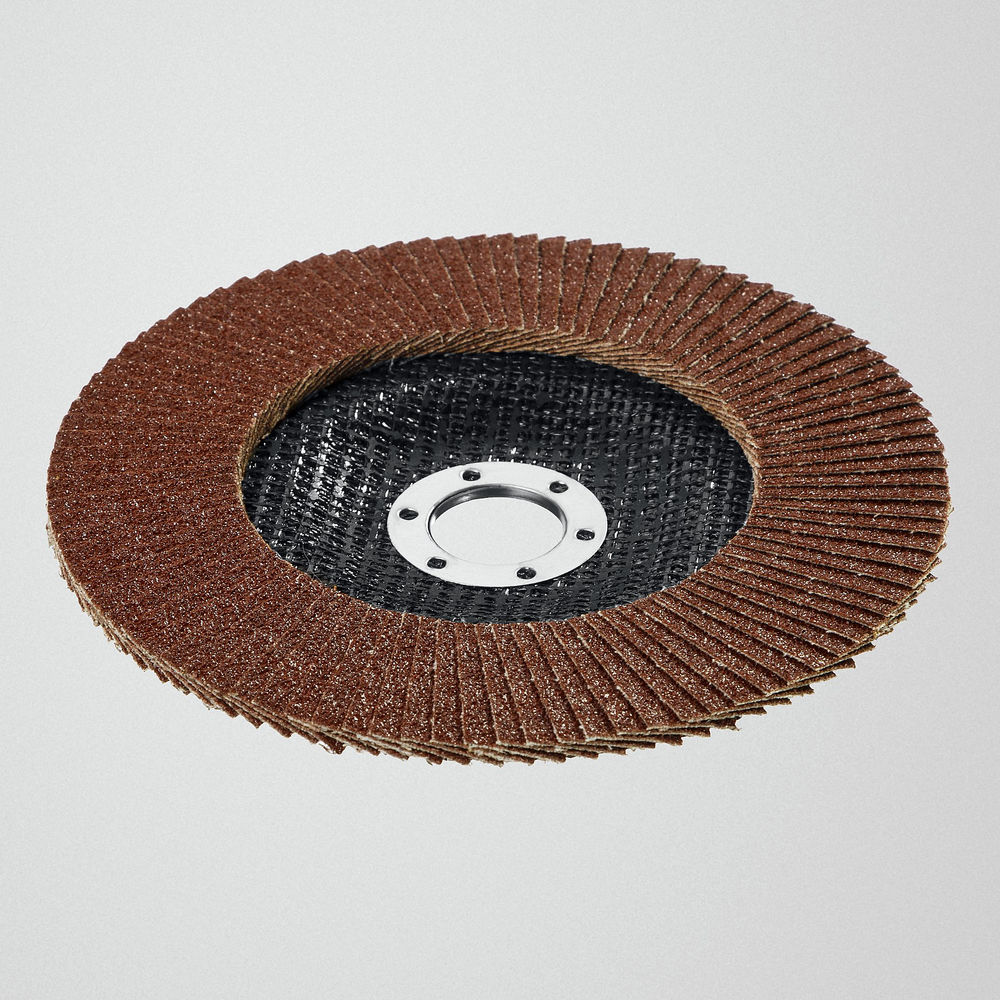 Круг лепестковый торцевой КЛТ 125 х 22.2 мм, P60 Professional STAYER 36581-125-060_z01