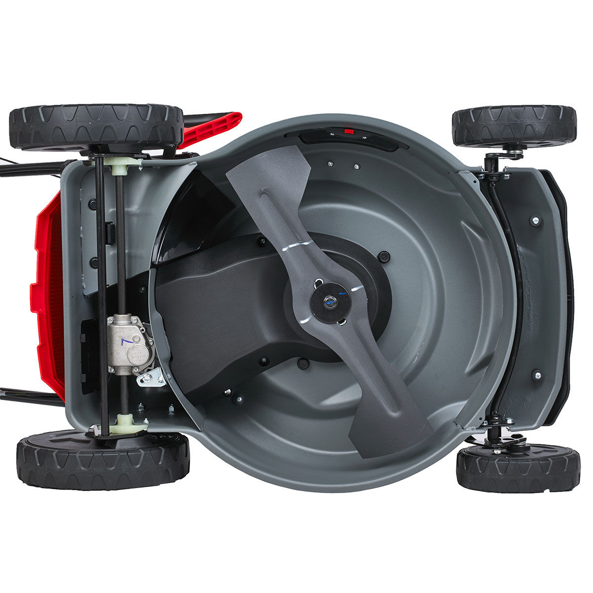 Газонокосилка бензиновая (бензокосилка) EVOline LMG 48 CV