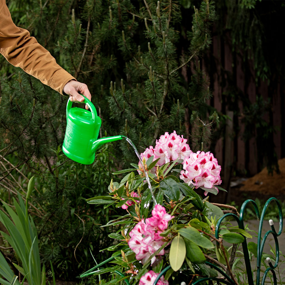 Лейка садовая, 2 л, пластмассовая (67505)
