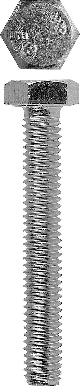 ЗУБР DIN 933, кл. пр. 5.8, M5 х 40 мм, цинк, 6 шт, болт (4-303076-05-040)