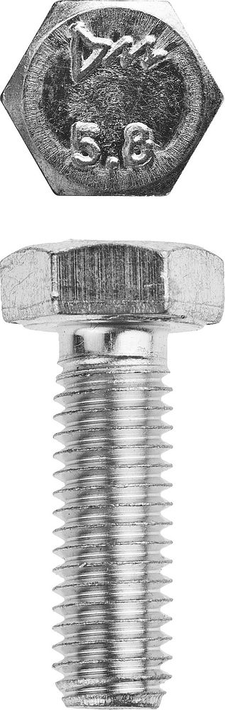 Болт M8 x 20 мм, кл. пр. 5.8, цинк, 5 кг, ГОСТ 7798-70 ЗУБР 303080-08-020